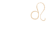 Sternzeichen (Leo)