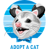 Opossum drôle. Adopter un chat