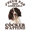 Mon adorable chien cocker