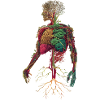 Nature-loving veggie blood