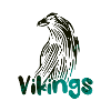 Raven logo Vikings