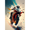 Motorcycle