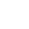 Bull shark