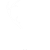 hirsch