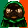IRISH FLAG - IRELAND - CUTE CAT