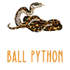 Be Yourself – King Python