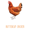 Be Yourself - Buttercup Chicken