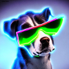 Cool Dog