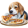 Pizza-loving Beagle