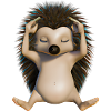 Hedgehog Yoga