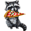 Pizza-loving raccoon