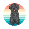 Labradoodle Dog