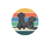 Labradoodle Dog