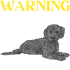 Labradoodle Dog
