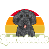 Labradoodle Dog