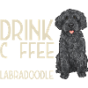 Labradoodle Hund