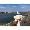 Möwe über Küstenbalkon