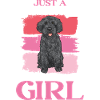 Labradoodle Hund