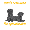 Labradoodle Chien