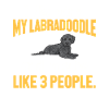 Labradoodle Dog