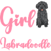 Labradoodle Dog