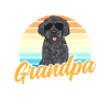 Labradoodle Dog