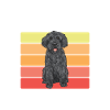 Labradoodle Hund