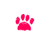 Beauceron