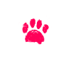 Akita Inu