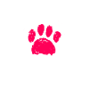 Doberman