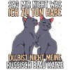 Russisch Blau Katze