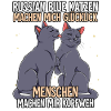 Russisch Blau Katzen
