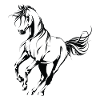 Beau cheval