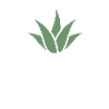 Aloe You Vera Much