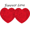 Forever Love