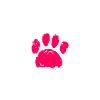 Briard
