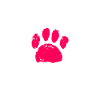 Chow Chow