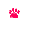 Magyar Vizsla