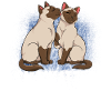 Siamkatze