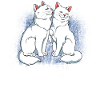 Perserkatze