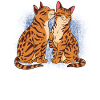 Bengalkatze