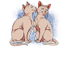 Sphynx Katze