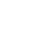 Zodiac sign Gemini