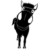 Close-up of a black horse