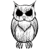 NightOwl