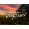 BIG LOVE DESIGN