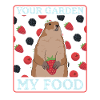 Marmots Groundhog Munggen Mankai Gift