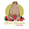 Marmottes Mankai marmotte Munggen cadeau