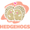 Valentine's Day Gift Hedgehog