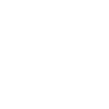 Professional Photographer